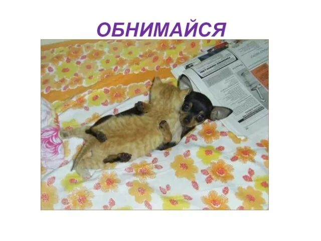 ОБНИМАЙСЯ