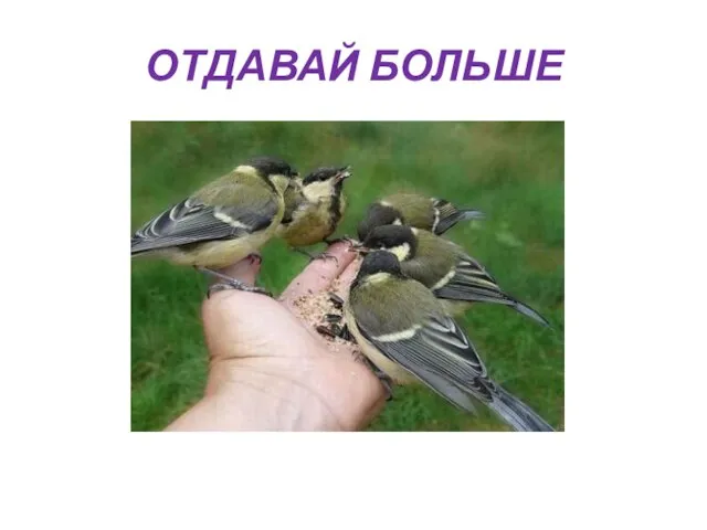 ОТДАВАЙ БОЛЬШЕ