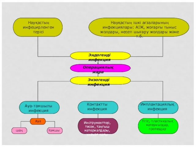 Эндогенді инфекция Операциялық жара Операциялық жара Экзогенді инфекция Науқастың инфецирленген терісі