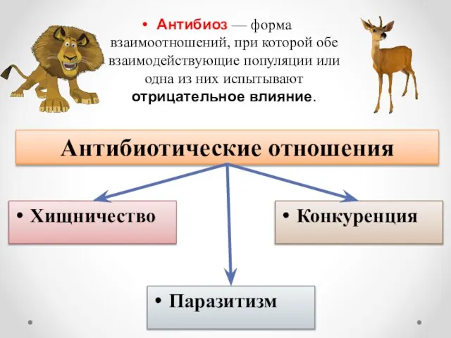 Антибиотические отношения Хищничество Паразитизм Конкуренция Антибиоз — форма взаимоотношений, при которой