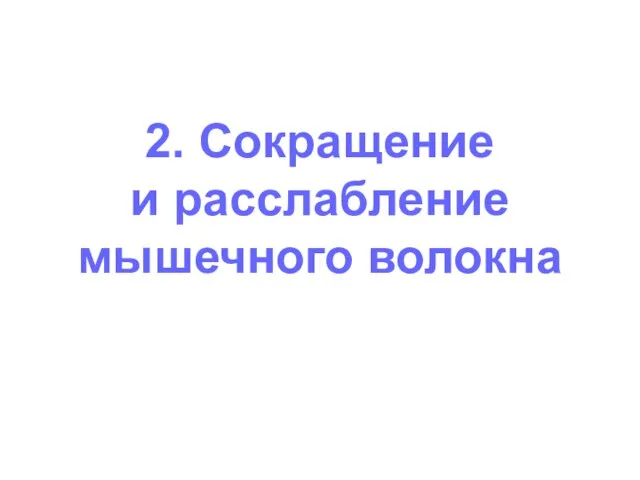 2. Сокращение и расслабление мышечного волокна