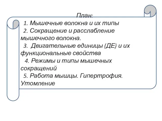 План: 1. Мышечные волокна и их типы 2. Сокращение и расслабление