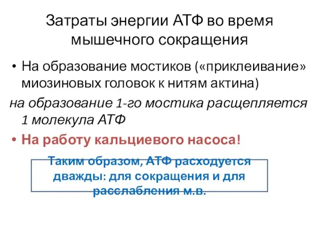 Затраты энергии АТФ во время мышечного сокращения На образование мостиков («приклеивание»