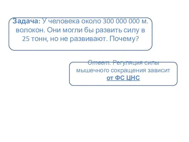 Задача: У человека около 300 000 000 м.волокон. Они могли бы