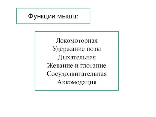 Функции мышц: Локомоторная Удержание позы Дыхательная Жевание и глотание Сосудодвигательная Аккомодация