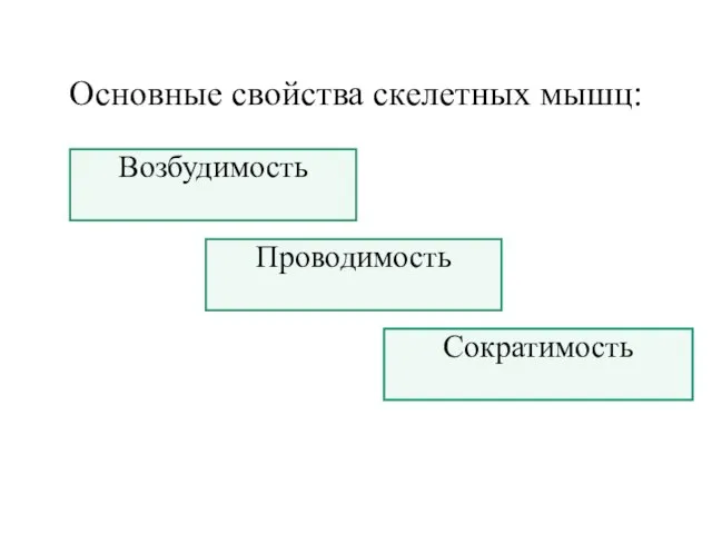 Основные свойства скелетных мышц: Проводимость Возбудимость Сократимость