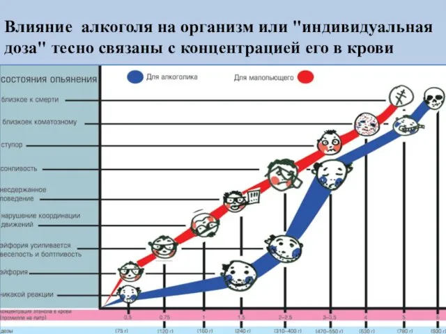 Влияние алкоголя на организм или "индивидуальная доза" тесно связаны с концентрацией его в крови