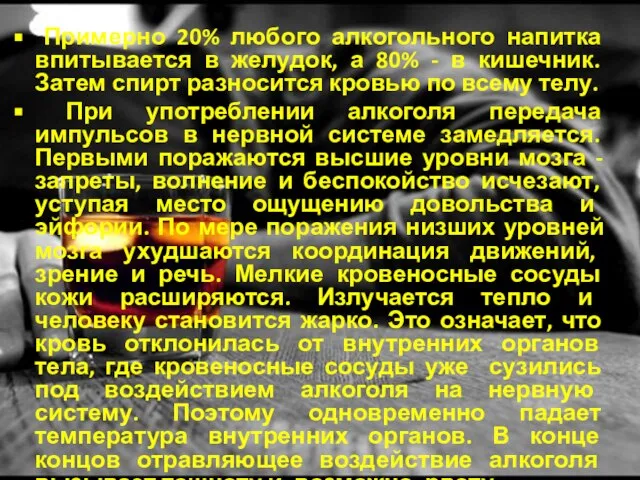 Примерно 20% любого алкогольного напитка впитывается в желудок, а 80% -