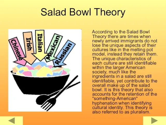 Salad Bowl Theory According to the Salad Bowl Theory there are