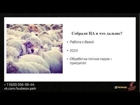 Собрали ЦА и что дальше? Работа с базой 2Q1D Обработка потока лидов = приоритет