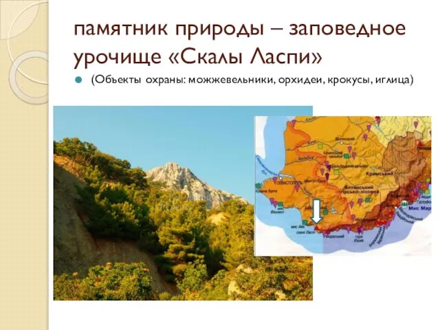 памятник природы – заповедное урочище «Скалы Ласпи» (Объекты охраны: можжевельники, орхидеи, крокусы, иглица)