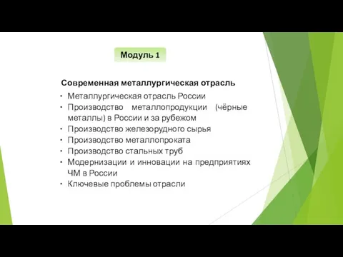 Модуль 1 Современная металлургическая отрасль Металлургическая отрасль России Производство металлопродукции (чёрные