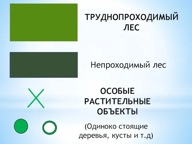 ТРУДНОПРОХОДИМЫЙ ЛЕС ОСОБЫЕ РАСТИТЕЛЬНЫЕ ОБЪЕКТЫ (Одиноко стоящие деревья, кусты и т.д) Непроходимый лес