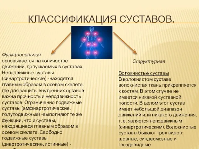 КЛАССИФИКАЦИЯ СУСТАВОВ. Функциональная основывается на количестве движений, допускаемых в суставах. Неподвижные