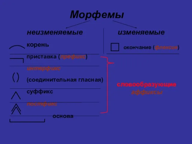 Морфемы изменяемые неизменяемые корень приставка (префикс) интерфикс (соединительная гласная) суффикс постфикс основа окончание (флексия) словообразующие аффиксы