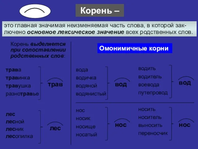 Корень – это главная значимая неизменяемая часть слова, в которой зак-лючено