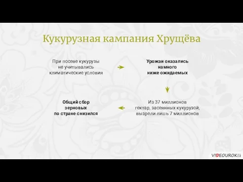 При посеве кукурузы не учитывались климатические условия Урожаи оказались намного ниже