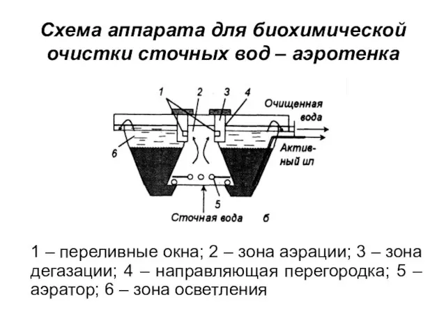 Схема аппарата для биохимической очистки сточных вод – аэротенка 1 –