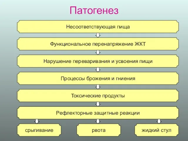 Патогенез Несоответствующая пища Функциональное перенапряжение ЖКТ Нарушение переваривания и усвоения пищи