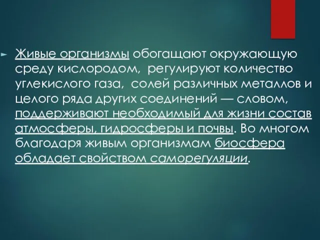 Живые организмы обогащают окружающую среду кислородом, регулируют количество углекислого газа, солей