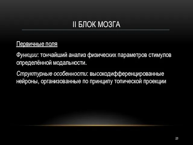 II БЛОК МОЗГА Первичные поля Функции: тончайший анализ физических параметров стимулов