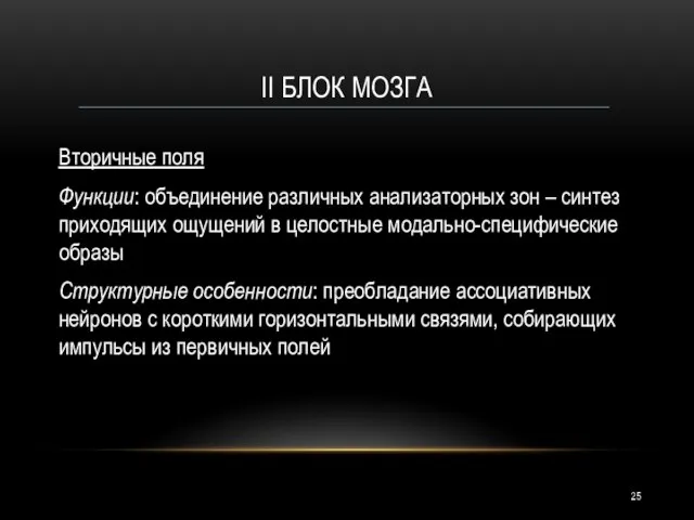 II БЛОК МОЗГА Вторичные поля Функции: объединение различных анализаторных зон –