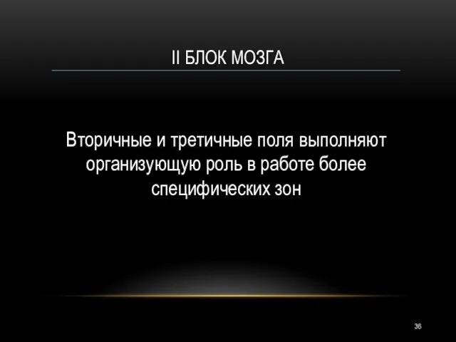 II БЛОК МОЗГА Вторичные и третичные поля выполняют организующую роль в работе более специфических зон