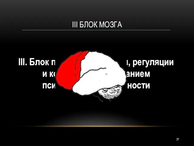 III. Блок программирования, регуляции и контроля за протеканием психической деятельности III БЛОК МОЗГА