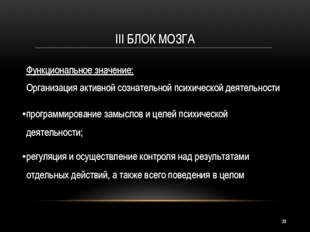 III БЛОК МОЗГА Функциональное значение: Организация активной сознательной психической деятельности программирование