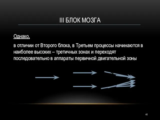 III БЛОК МОЗГА Однако, в отличии от Второго блока, в Третьем