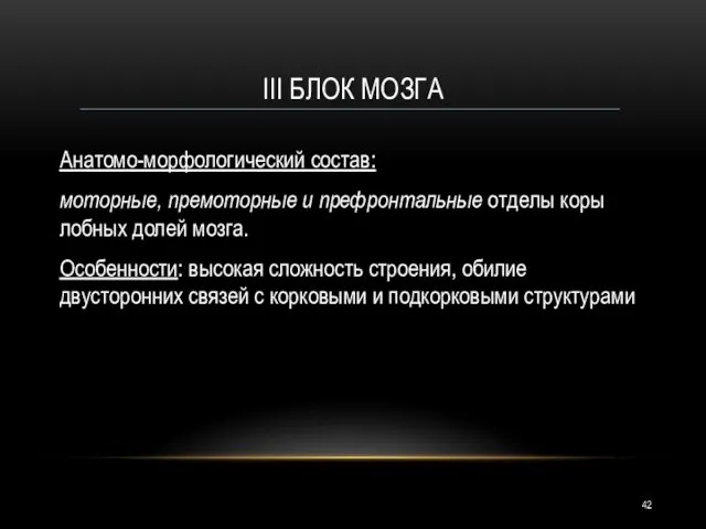 III БЛОК МОЗГА Анатомо-морфологический состав: моторные, премоторные и префронтальные отделы коры