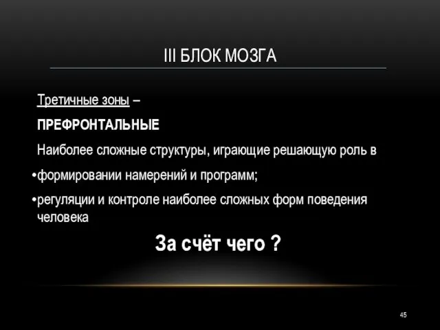 III БЛОК МОЗГА Третичные зоны – ПРЕФРОНТАЛЬНЫЕ Наиболее сложные структуры, играющие