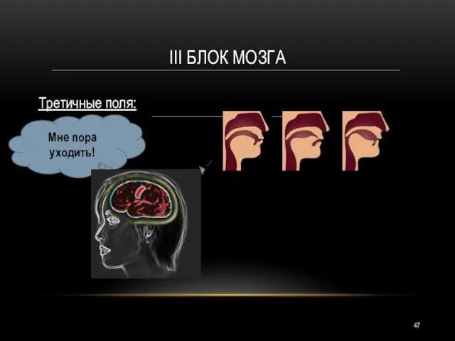 III БЛОК МОЗГА Третичные поля: Мне пора уходить! От пус ти
