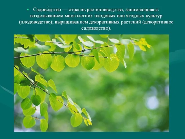 Садово́дство — отрасль растениеводства, занимающаяся: возделыванием многолетних плодовых или ягодных культур