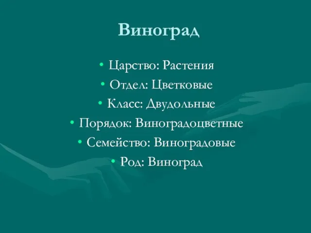 Виноград Царство: Растения Отдел: Цветковые Класс: Двудольные Порядок: Виноградоцветные Семейство: Виноградовые Род: Виноград