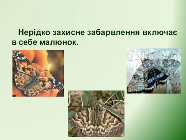 Нерідко захисне забарвлення включає в себе малюнок. Захисне забарвлення