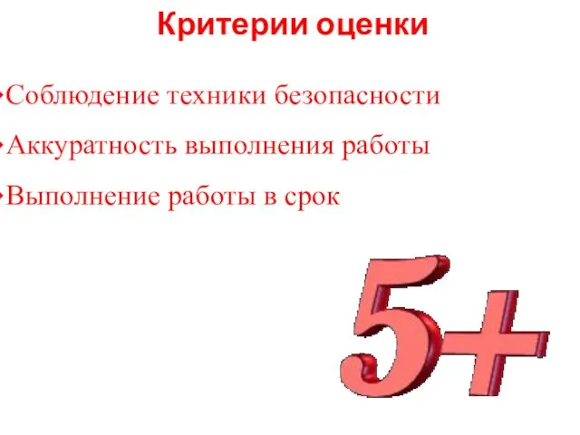 Критерии оценки Соблюдение техники безопасности Аккуратность выполнения работы Выполнение работы в срок