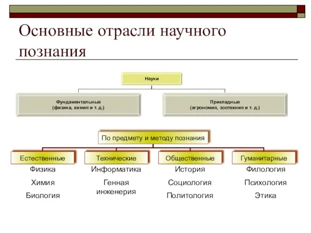 Основные отрасли научного познания Физика Химия Биология Информатика Генная инженерия История Социология Политология Филология Психология Этика