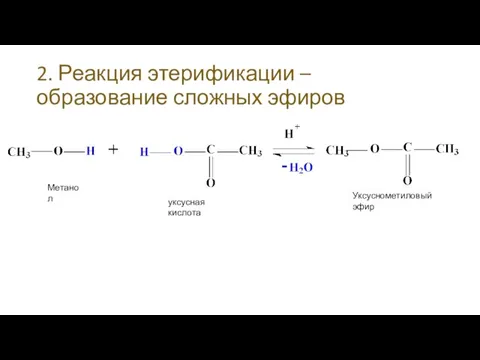 2. Реакция этерификации – образование сложных эфиров