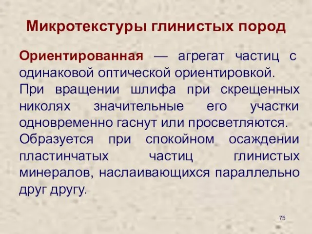 Микротекстуры глинистых пород Ориентированная — агрегат частиц с одинаковой оптической ориентировкой.