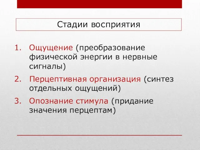 Стадии восприятия Ощущение (преобразование физической энергии в нервные сигналы) Перцептивная организация