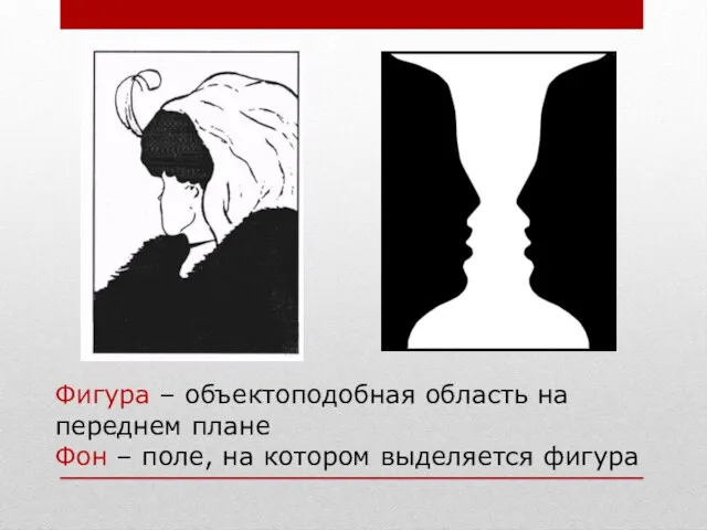 Фигура – объектоподобная область на переднем плане Фон – поле, на котором выделяется фигура