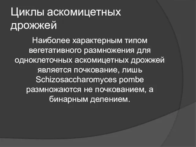 Циклы аскомицетных дрожжей Наиболее характерным типом вегетативного размножения для одноклеточных аскомицетных