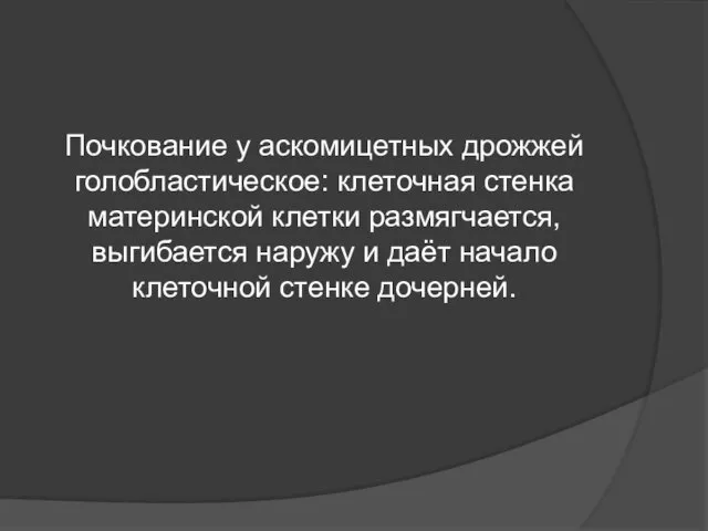 Почкование у аскомицетных дрожжей голобластическое: клеточная стенка материнской клетки размягчается, выгибается