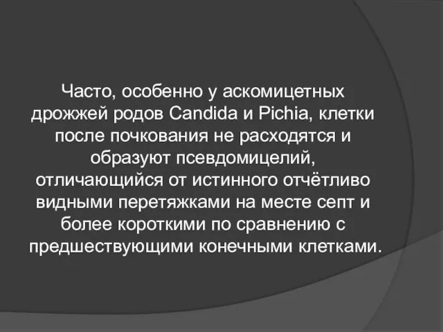 Часто, особенно у аскомицетных дрожжей родов Candida и Pichia, клетки после