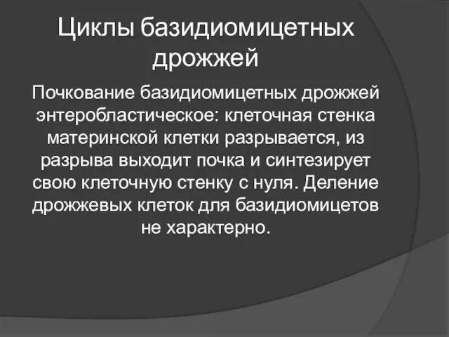 Циклы базидиомицетных дрожжей Почкование базидиомицетных дрожжей энтеробластическое: клеточная стенка материнской клетки