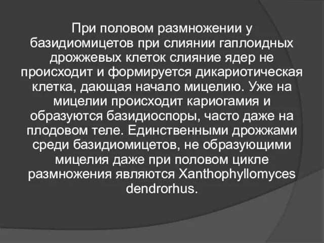 При половом размножении у базидиомицетов при слиянии гаплоидных дрожжевых клеток слияние