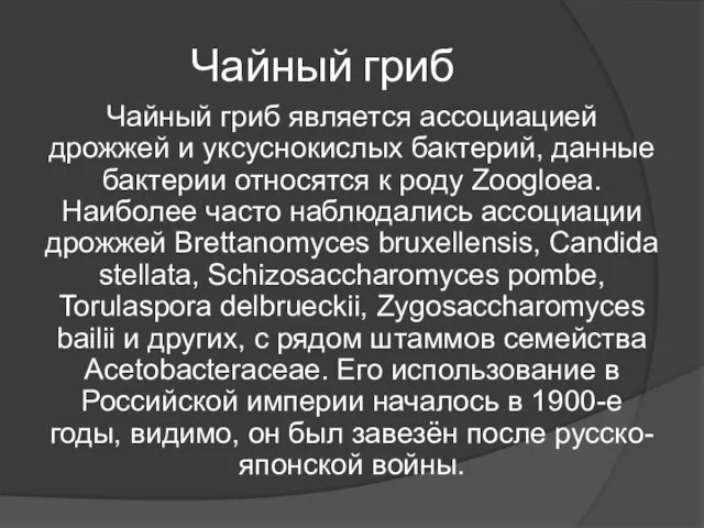 Чайный гриб Чайный гриб является ассоциацией дрожжей и уксуснокислых бактерий, данные