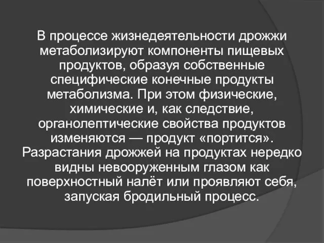 В процессе жизнедеятельности дрожжи метаболизируют компоненты пищевых продуктов, образуя собственные специфические