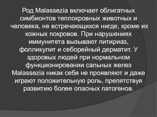 Род Malassezia включает облигатных симбионтов теплокровных животных и человека, не встречающихся